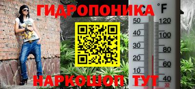 твердый Севастополь