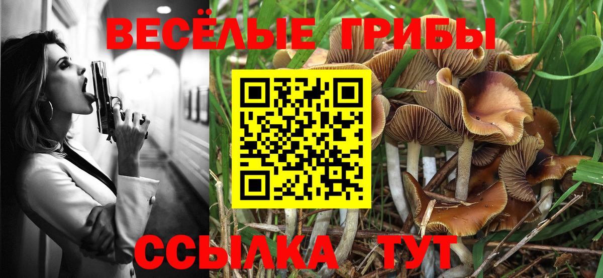 Галлюциногенные грибы Psilocybine cubensis  купить закладку  Рубцовск  Вход с VPN  Галлюциногенные грибы Magic Shrooms 